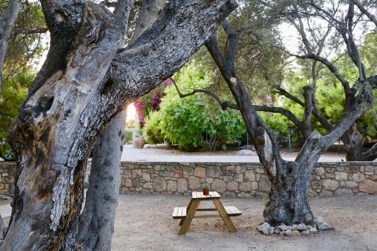 Pyrgos Ralli Estate Guesthouse Aegina Luaran gambar