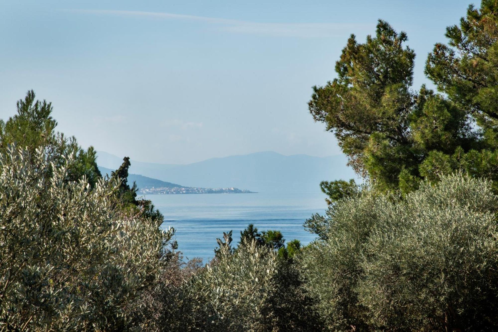 Pyrgos Ralli Estate Guesthouse Aegina Luaran gambar